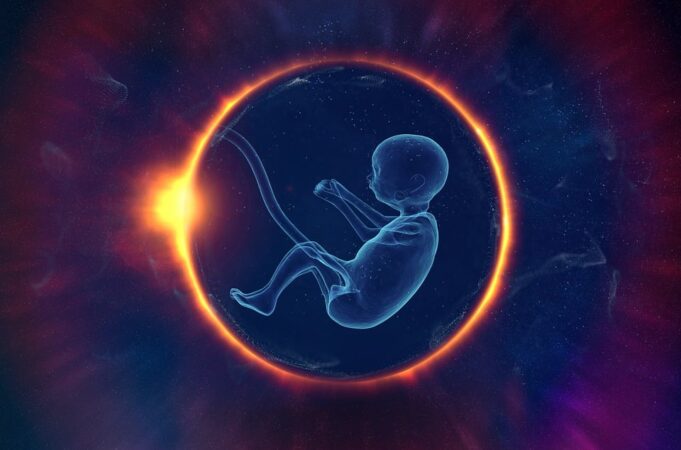 embryo-7036773_960_720